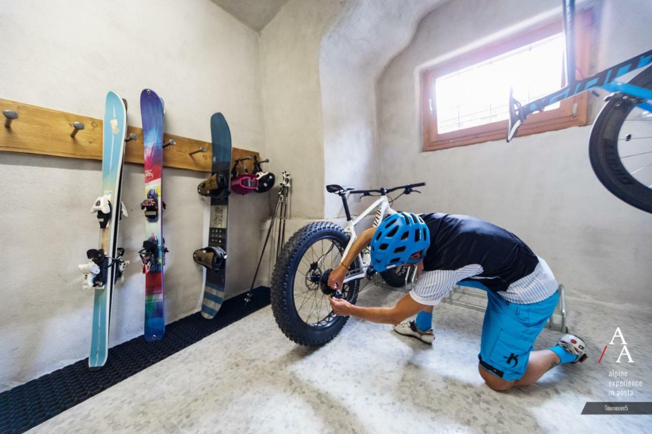 Alp Apartments Ski & Bike - Tourneuve5 Aosta Eksteriør bilde